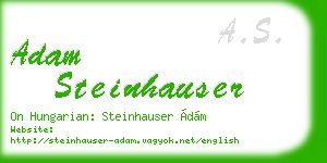 adam steinhauser business card
